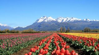 imagen-427 Tres tesoros de la Patagonia que debes explorar en 2026