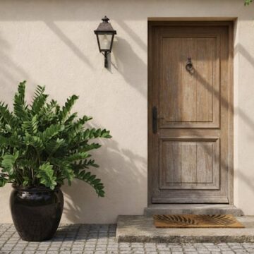 imagen-69 La planta ideal para atraer prosperidad en tu hogar