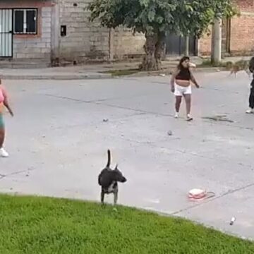 Detención de una nueva «Pepita», la pistolera, tras enfrentamiento entre bandas en Salta