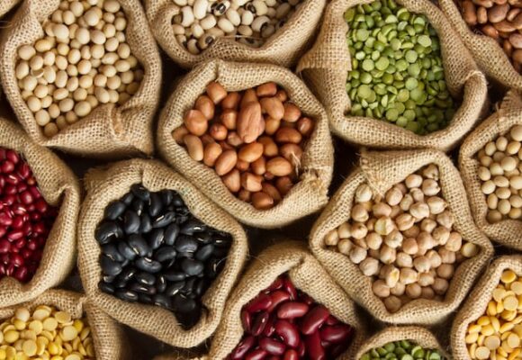 imagen-333 Producción de Legumbres en Argentina: Récord y Desafíos del Sector