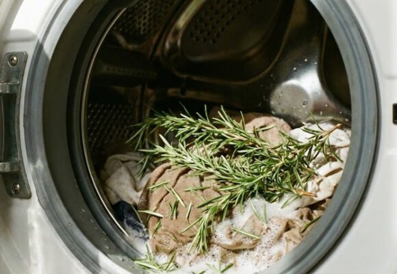 imagen-349 Hojas de Romero en el Lavarropas: Beneficios y Cómo Usarlas