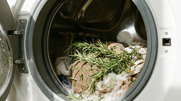 imagen-349 Hojas de Romero en el Lavarropas: Beneficios y Cómo Usarlas