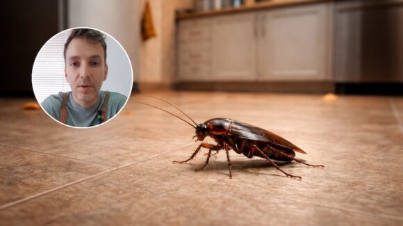 Diego Fernández, ingeniero químico, sugiere el ácido bórico para combatir cucarachas