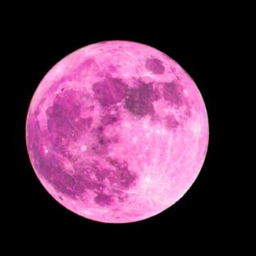 imagen-441 Luna Rosa 2026 en Argentina: Significado y fechas de observación