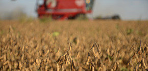 imagen-527 Aumento de la presión fiscal sobre el agro en Argentina