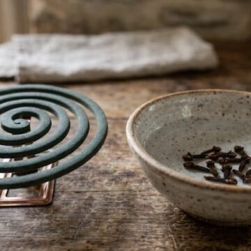 Espiral en alcohol y clavos de olor: un truco efectivo contra mosquitos