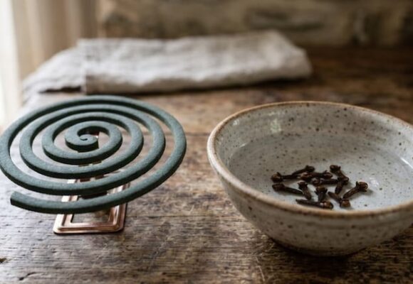 Espiral en alcohol y clavos de olor: un truco efectivo contra mosquitos
