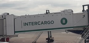 imagen-215 Extensión del plazo para la privatización de Intercargo