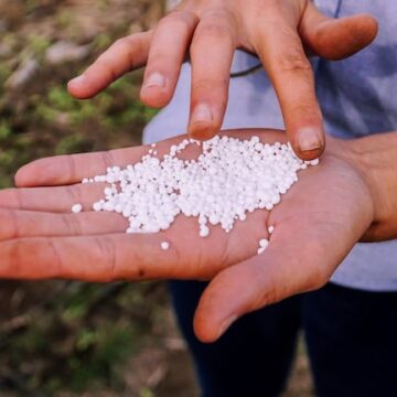 El sector agroindustrial argentino, fuente de dólares, enfrenta desafíos y amenazas