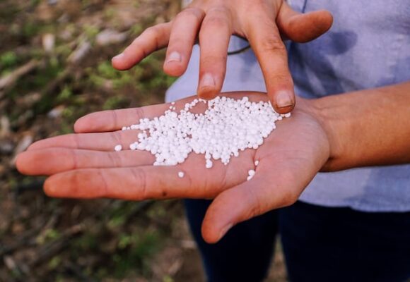 El sector agroindustrial argentino, fuente de dólares, enfrenta desafíos y amenazas