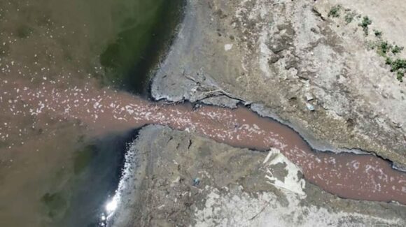 Procesan a frigorífico avícola por verter efluentes en el Río Salado durante más de dos años