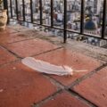 El significado de encontrar una pluma blanca en tu balcón según las creencias