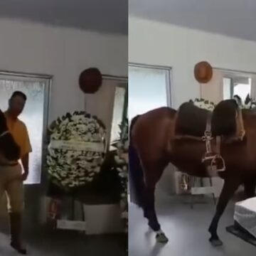 Desgarrador homenaje: una yegua asiste al funeral de su dueño y su reacción conmueve a todos