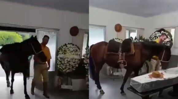 Desgarrador homenaje: una yegua asiste al funeral de su dueño y su reacción conmueve a todos