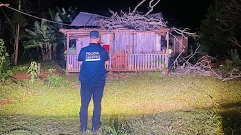 imagen-104 Tragedia en Misiones: una bebé falleció tras caerle una rama de árbol seco