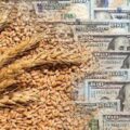 Proyecciones optimistas del sector agroexportador para 2026