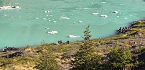 imagen-141 Turistas brasileños multados por ingresar a área restringida en el Parque Nacional Nahuel Huapi