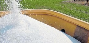 imagen-275 Impacto de la reducción en el precio de la urea en la producción de trigo y maíz
