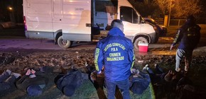 imagen-303 Detenida líder narco que cumplía prisión domiciliaria en Merlo