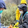 Descubrimiento de hantavirus en Tierra del Fuego no relacionado con brote del crucero