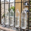 Beneficios de Colgar Botellas con Agua en las Ventanas