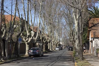 imagen-322 Disminución Real de Alquileres en el Norte del Gran Buenos Aires