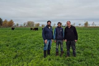 Incremento del 70,8% en la producción de carne y reducción de la huella ambiental