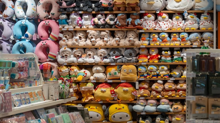 imagen-98 La tienda china Miniso acelera su expansión en Argentina con nuevas aperturas