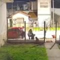 Desesperante asalto en Mar del Plata: ladrones roban auto y casi secuestran a una niña