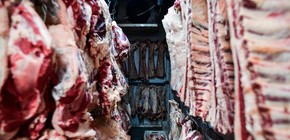 imagen-140 Retiro de más de 13 toneladas de carne argentina en EE. UU. por falta de reinspección