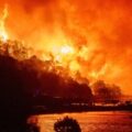 Ola de calor y devastadores incendios azotan Europa desde Alemania hasta el Reino Unido