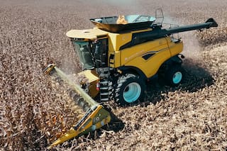 imagen-280 El maíz se convierte en el líder de la producción agrícola argentina con un aumento de 18 millones de toneladas en diez años