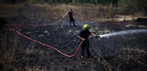 El impacto del calor extremo y los incendios en Francia