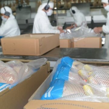 imagen-118 Japón reanuda la importación de carne aviar y productos de huevo argentinos