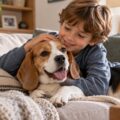 Recomendaciones de un veterinario sobre el Beagle como mascota familiar
