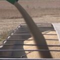 El Gobierno analizará propuestas de ruralistas sobre el uso de semillas