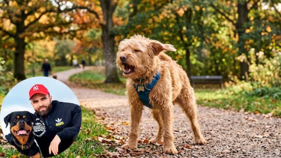 Tony Silvestre, experto en adiestramiento canino, aclara el significado de los estornudos en perros