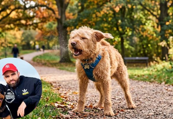 Tony Silvestre, experto en adiestramiento canino, aclara el significado de los estornudos en perros