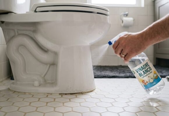 Beneficios del uso de vinagre blanco en la limpieza del inodoro