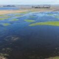 Emergencia agropecuaria declarada en dos municipios de Buenos Aires por inundaciones